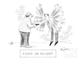 mike-twohy-fight-of-flight-cartoon-1442738F8AA69053379-thumb400